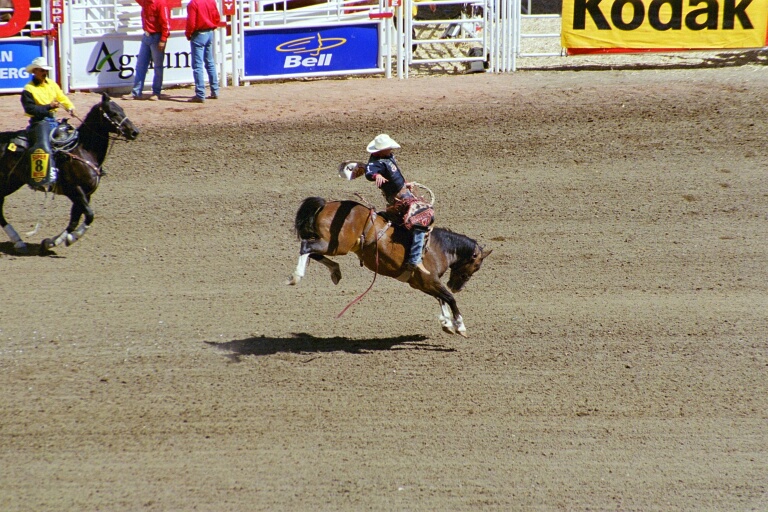 Bareback Riding 2