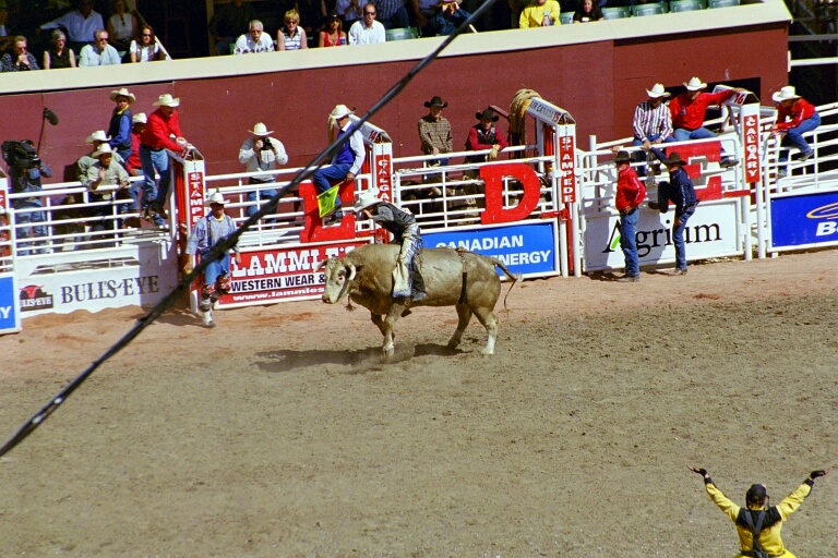 Bull Riding 2