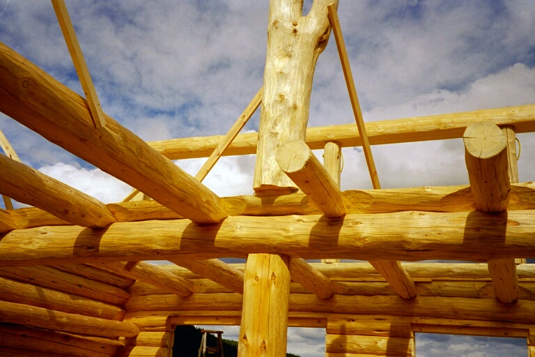 Loghomes 100 Miles House 4