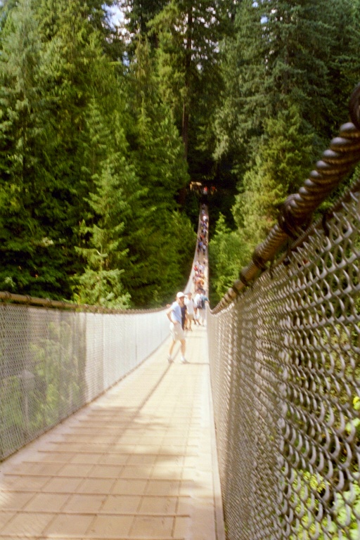 Caipilano Suspension Bridge 2