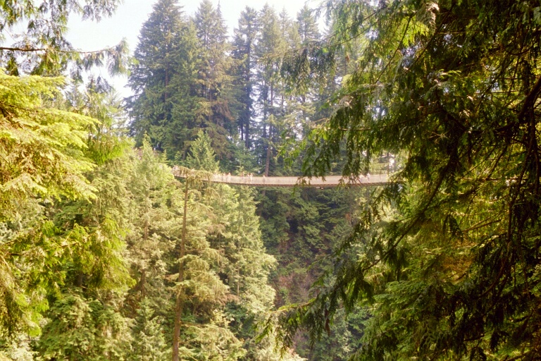 Caipilano Suspension Bridge 4