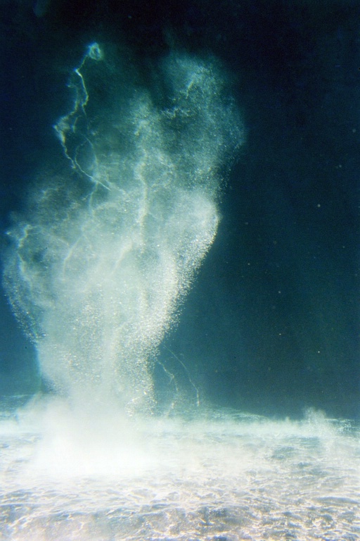 Vancover Aquarium 7