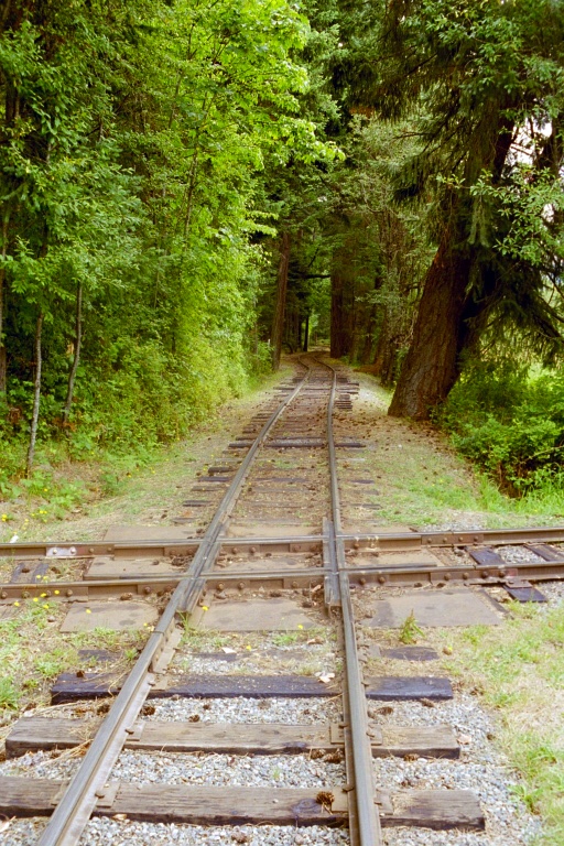 B. C. Forest Mueum 2